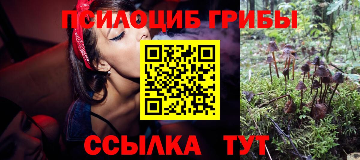 Ликино-Дулёво  Псилоцибиновые грибы ЛСД  как найти закладки  Вход с VPN 