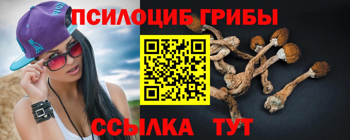 Псилоцибиновые грибы Psilocybine cubensis Ликино-Дулёво